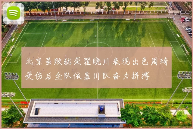 北京虽败犹荣翟晓川表现出色周琦受伤后全队依靠川队奋力拼搏