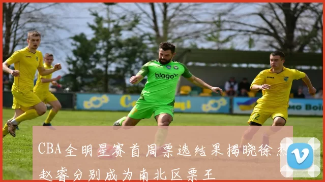 CBA全明星赛首周票选结果揭晓徐杰赵睿分别成为南北区票王